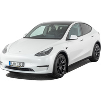 Tesla Model Y Performance Dual Motor AWD